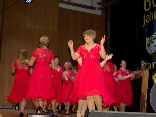 60 Jahre Narhalla Hof 2. Jubiläumsprunksitzung – Foto 88