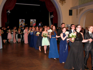 Foto 209239 im Album