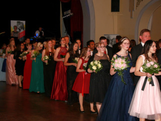 Foto 209245 im Album