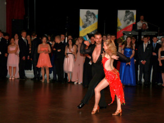 Foto 209343 im Album
