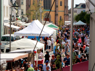 Foto 209429 im Album
