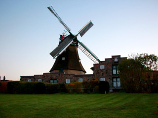 Foto 209484 im Album