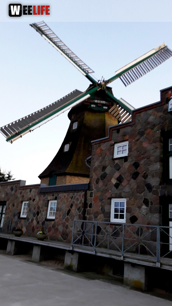 Schützenhof Groß Wittensee Weiherer Reisen Nord Ostsee