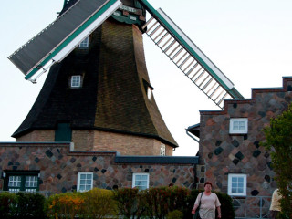 Foto 209490 im Album