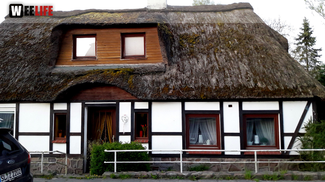 Schützenhof Groß Wittensee Weiherer Reisen Nord Ostsee