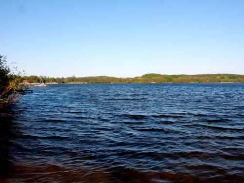 Schützenhof Groß Wittensee Weiherer Reisen Nord Ostsee – Foto 31