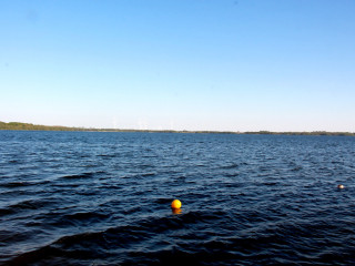 Foto 209505 im Album