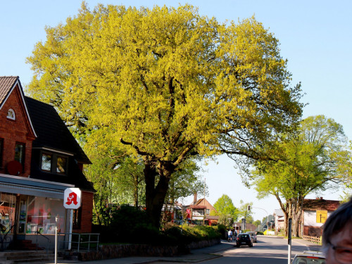 Schützenhof Groß Wittensee Weiherer Reisen Nord Ostsee – Foto 38