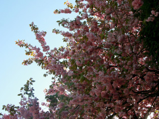 Foto 209512 im Album