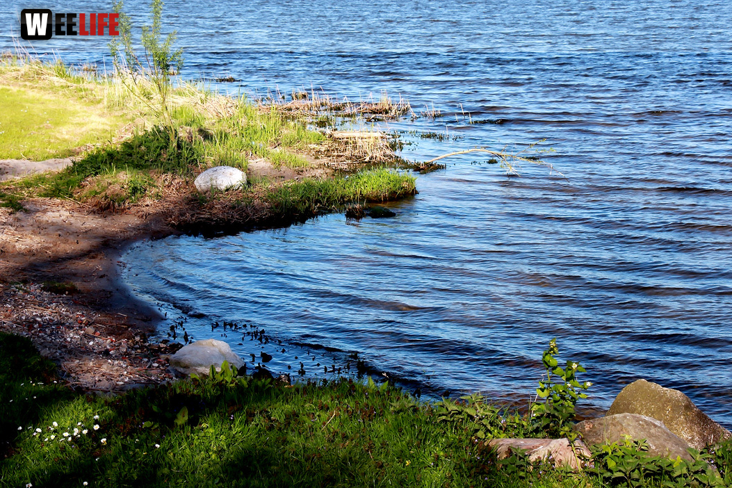 Schützenhof Groß Wittensee Weiherer Reisen Nord Ostsee