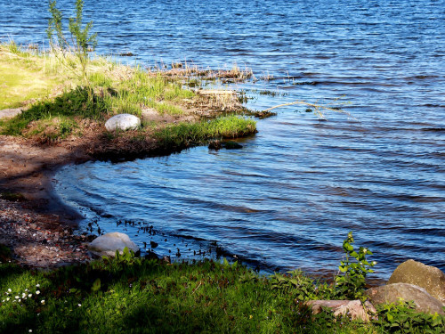 Schützenhof Groß Wittensee Weiherer Reisen Nord Ostsee – Foto 57