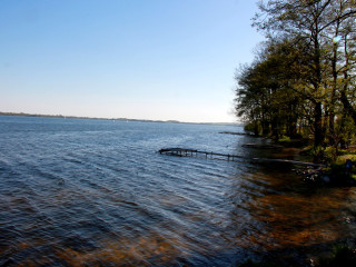 Foto 209535 im Album