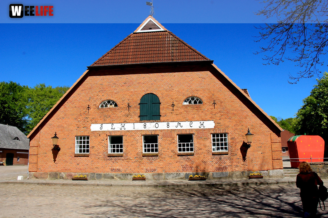 Kutschfahrt Himbeerhof Gut Steinwehr 2.Tag Weiherer Reisen Nord Ostsee
