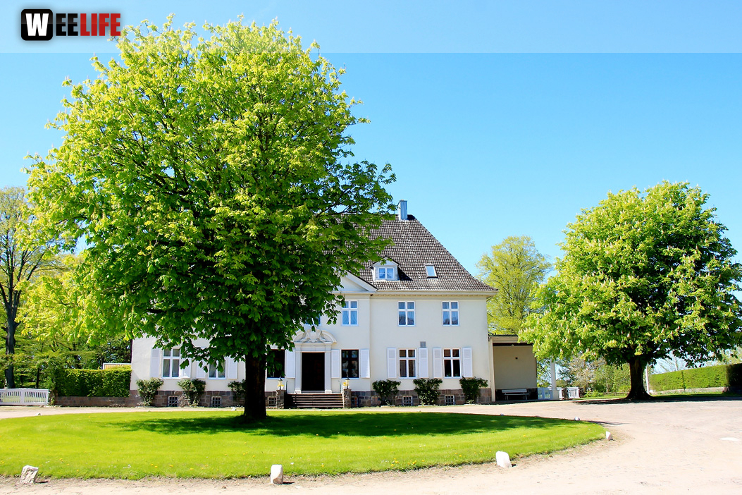 Kutschfahrt Himbeerhof Gut Steinwehr 2.Tag Weiherer Reisen Nord Ostsee