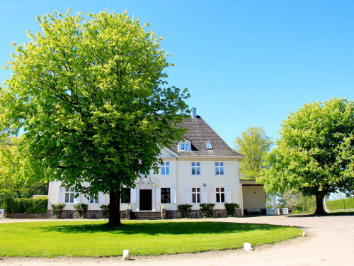 Kutschfahrt Himbeerhof Gut Steinwehr 2.Tag Weiherer Reisen Nord Ostsee – Foto 4