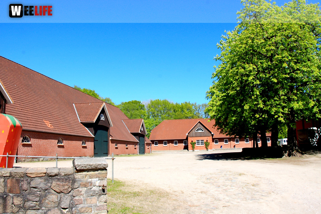Kutschfahrt Himbeerhof Gut Steinwehr 2.Tag Weiherer Reisen Nord Ostsee