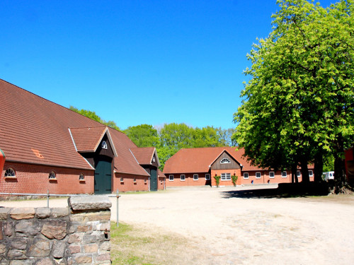Kutschfahrt Himbeerhof Gut Steinwehr 2.Tag Weiherer Reisen Nord Ostsee – Foto 6