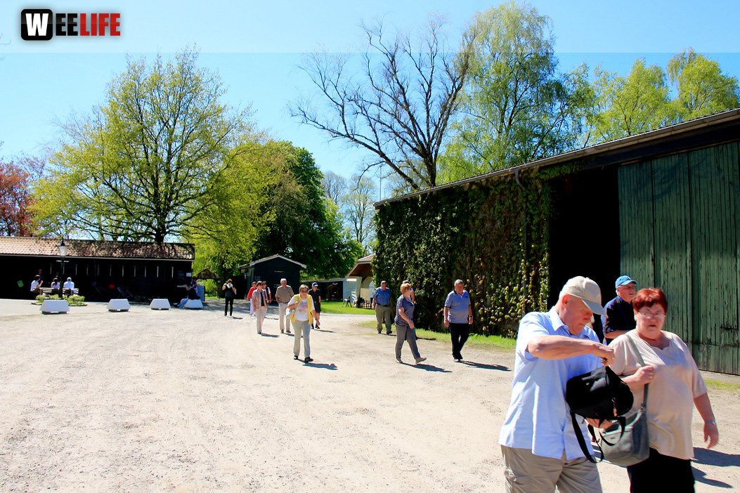 Kutschfahrt Himbeerhof Gut Steinwehr 2.Tag Weiherer Reisen Nord Ostsee