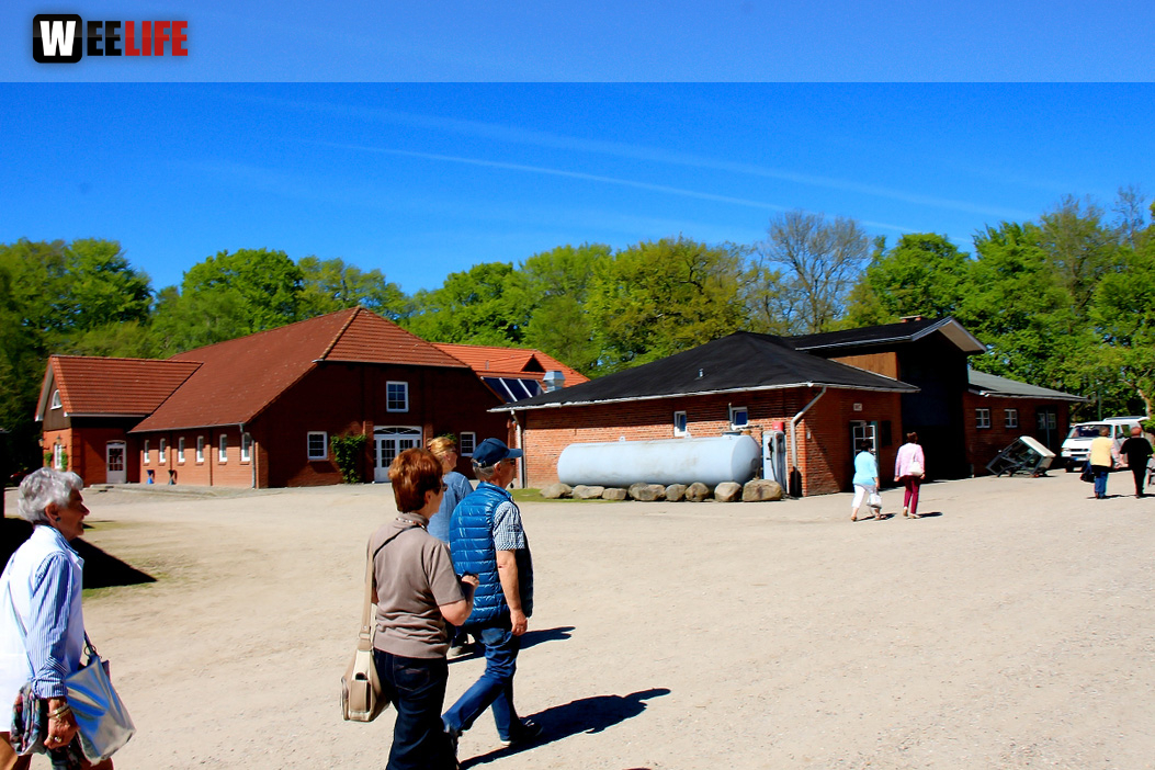 Kutschfahrt Himbeerhof Gut Steinwehr 2.Tag Weiherer Reisen Nord Ostsee