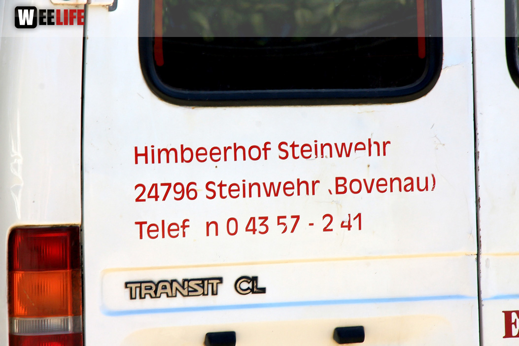 Kutschfahrt Himbeerhof Gut Steinwehr 2.Tag Weiherer Reisen Nord Ostsee