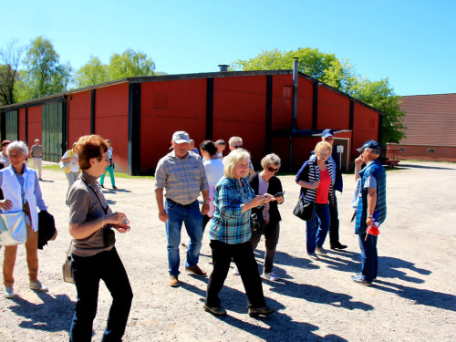 Kutschfahrt Himbeerhof Gut Steinwehr 2.Tag Weiherer Reisen Nord Ostsee – Foto 22
