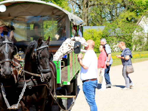 Kutschfahrt Himbeerhof Gut Steinwehr 2.Tag Weiherer Reisen Nord Ostsee – Foto 26