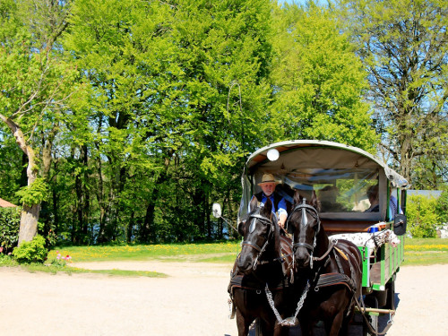 Kutschfahrt Himbeerhof Gut Steinwehr 2.Tag Weiherer Reisen Nord Ostsee – Foto 27