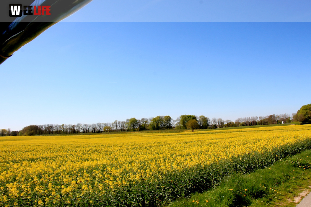 Kutschfahrt Himbeerhof Gut Steinwehr 2.Tag Weiherer Reisen Nord Ostsee