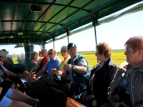 Kutschfahrt Himbeerhof Gut Steinwehr 2.Tag Weiherer Reisen Nord Ostsee – Foto 34