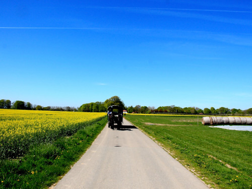 Kutschfahrt Himbeerhof Gut Steinwehr 2.Tag Weiherer Reisen Nord Ostsee – Foto 39