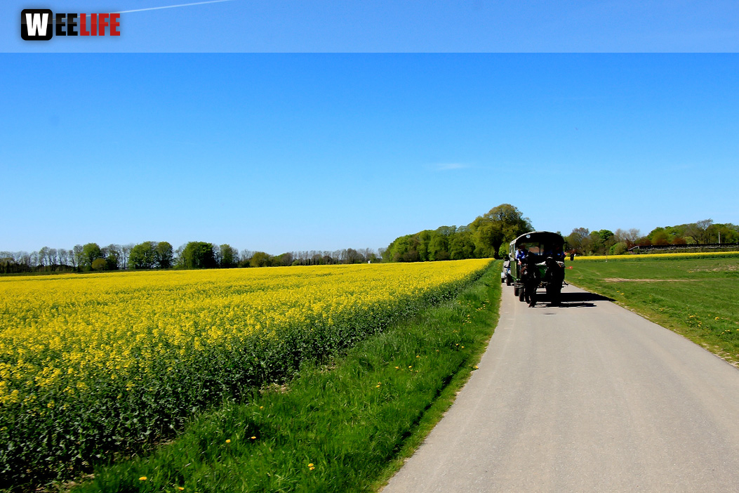 Kutschfahrt Himbeerhof Gut Steinwehr 2.Tag Weiherer Reisen Nord Ostsee