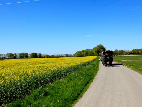 Kutschfahrt Himbeerhof Gut Steinwehr 2.Tag Weiherer Reisen Nord Ostsee – Foto 41