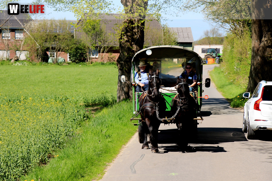 Kutschfahrt Himbeerhof Gut Steinwehr 2.Tag Weiherer Reisen Nord Ostsee
