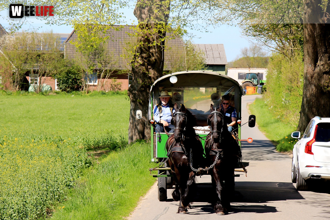 Kutschfahrt Himbeerhof Gut Steinwehr 2.Tag Weiherer Reisen Nord Ostsee