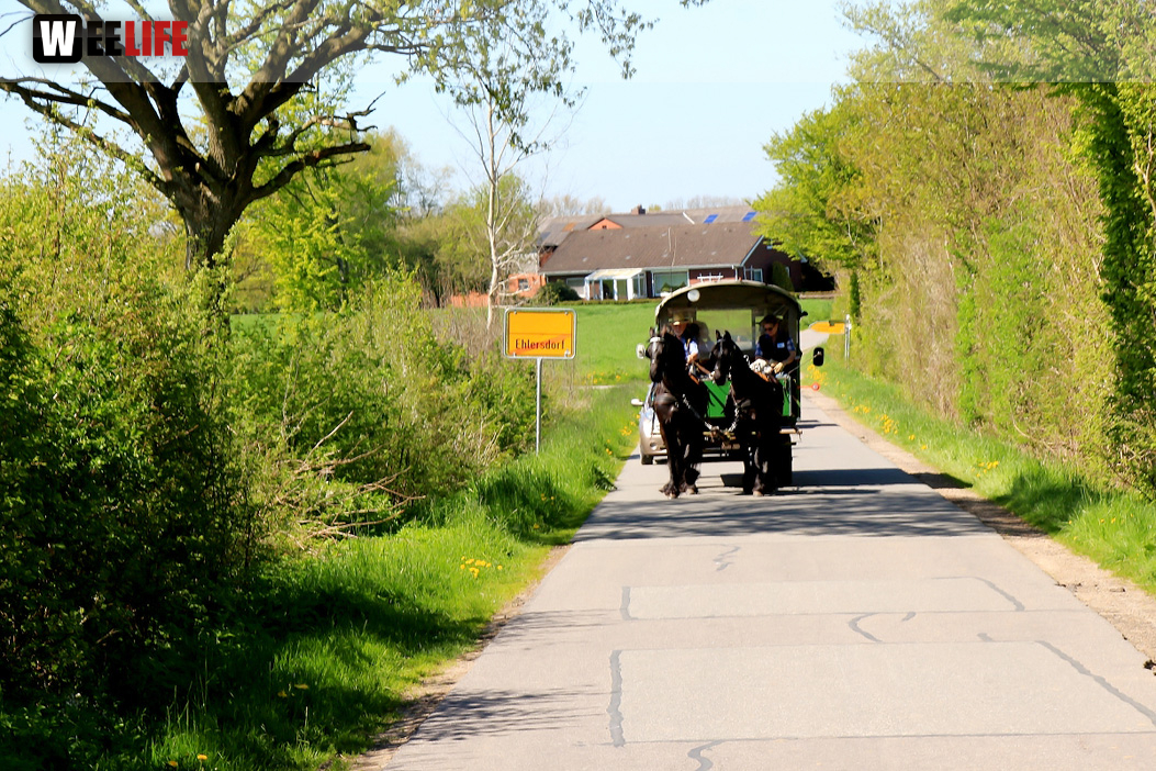 Kutschfahrt Himbeerhof Gut Steinwehr 2.Tag Weiherer Reisen Nord Ostsee