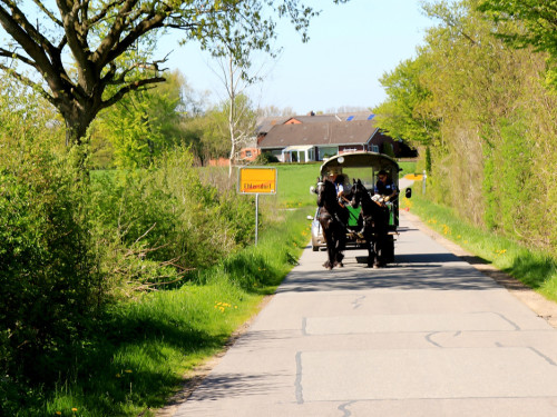Kutschfahrt Himbeerhof Gut Steinwehr 2.Tag Weiherer Reisen Nord Ostsee – Foto 48