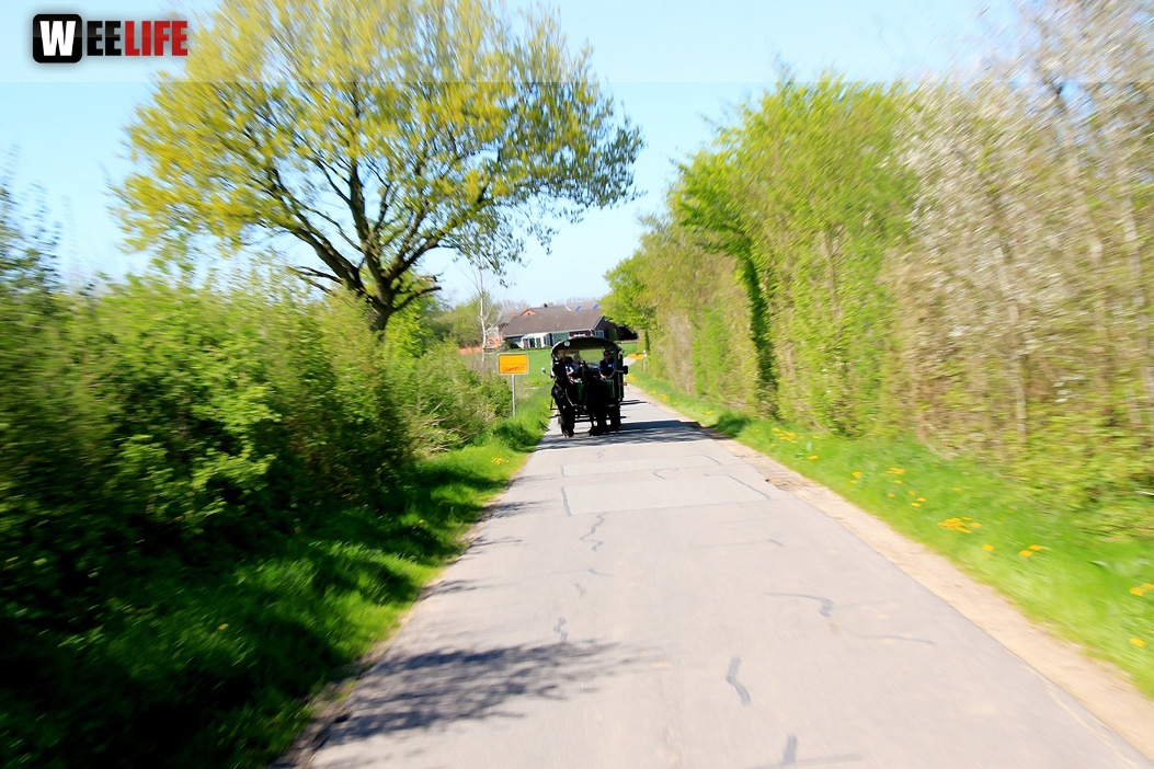 Kutschfahrt Himbeerhof Gut Steinwehr 2.Tag Weiherer Reisen Nord Ostsee
