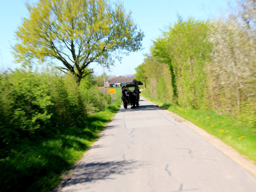 Kutschfahrt Himbeerhof Gut Steinwehr 2.Tag Weiherer Reisen Nord Ostsee – Foto 49