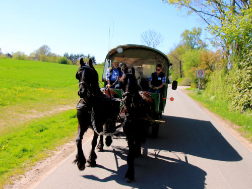 Kutschfahrt Himbeerhof Gut Steinwehr 2.Tag Weiherer Reisen Nord Ostsee – Foto 51