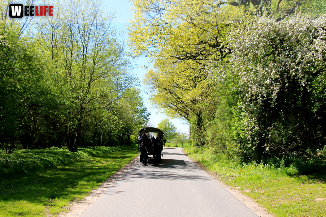 Kutschfahrt Himbeerhof Gut Steinwehr 2.Tag Weiherer Reisen Nord Ostsee