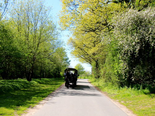 Kutschfahrt Himbeerhof Gut Steinwehr 2.Tag Weiherer Reisen Nord Ostsee – Foto 53