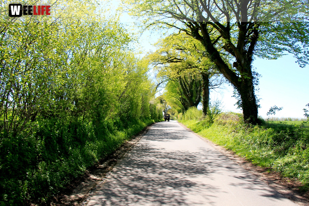 Kutschfahrt Himbeerhof Gut Steinwehr 2.Tag Weiherer Reisen Nord Ostsee
