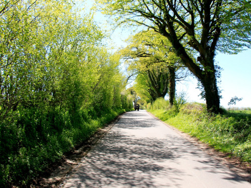 Kutschfahrt Himbeerhof Gut Steinwehr 2.Tag Weiherer Reisen Nord Ostsee – Foto 57