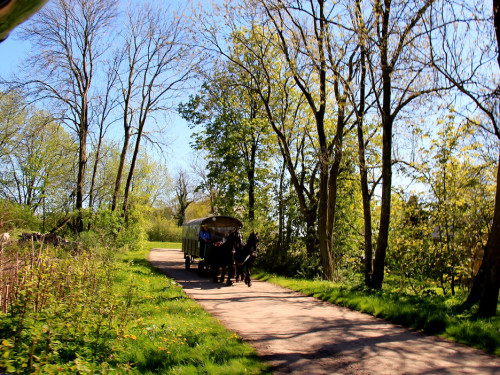 Kutschfahrt Himbeerhof Gut Steinwehr 2.Tag Weiherer Reisen Nord Ostsee – Foto 59
