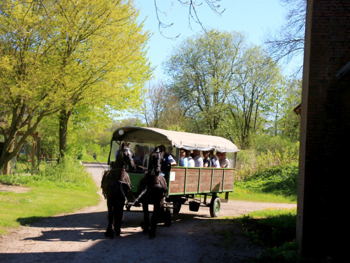 Kutschfahrt Himbeerhof Gut Steinwehr 2.Tag Weiherer Reisen Nord Ostsee – Foto 60