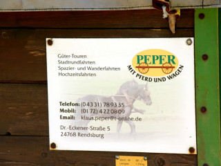 Foto 210092 im Album