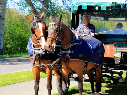 Kutschfahrt Himbeerhof Gut Steinwehr 2.Tag Weiherer Reisen Nord Ostsee – Foto 123