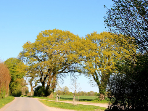 Kutschfahrt Himbeerhof Gut Steinwehr 2.Tag Weiherer Reisen Nord Ostsee – Foto 135