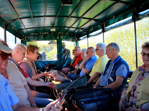Kutschfahrt Himbeerhof Gut Steinwehr 2.Tag Weiherer Reisen Nord Ostsee – Foto 137