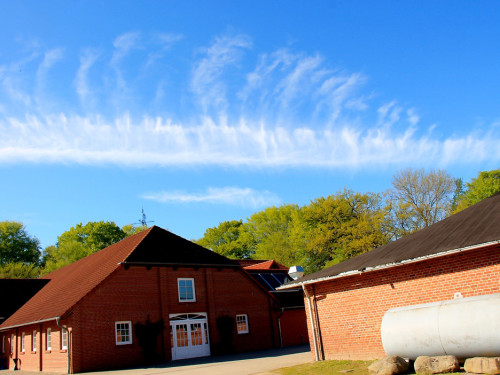 Kutschfahrt Himbeerhof Gut Steinwehr 2.Tag Weiherer Reisen Nord Ostsee – Foto 150